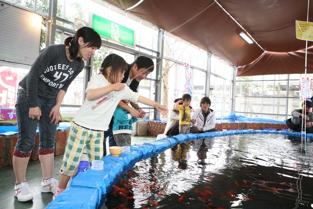 金魚などをキャッチ＆リリースできる「おもしろ釣りランド」