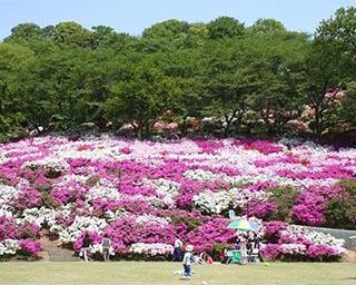 福井県で遊ぶなら！福井県の人気おでかけスポット5選