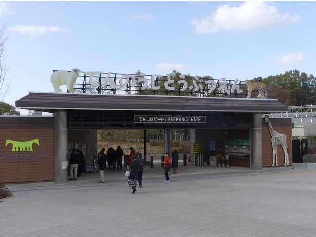 コロナ対策情報付き 天王寺動物園の楽しみ方 回り方を紹介 動物たちが暮らす大阪都心部のオアシス ウォーカープラス