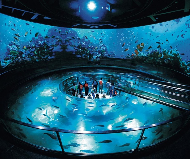 360度の水槽と巨大ビジョンをシンクロさせた「フィッシュダンス」