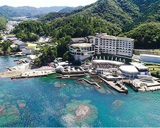 城崎マリンワールドの見どころ＆楽しみ方を徹底紹介！ 日本海に面し“水族館以上”がコンセプト【コロナ対策情報付き】