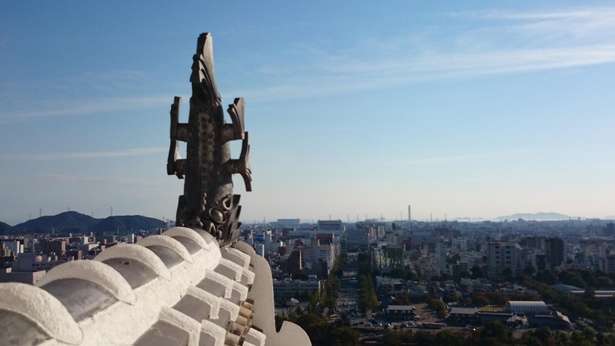 コロナ対策情報付き 姫路城の美しい紅葉や天守閣からの絶景を満喫 世界遺産の見どころを徹底ガイド ウォーカープラス