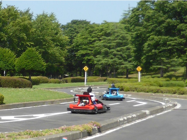 画像6 7 コロナ対策情報付き 八戸公園 こどもの国 八戸植物公園 の魅力を徹底解説 天然記念物のニホンザルにも会える ウォーカープラス