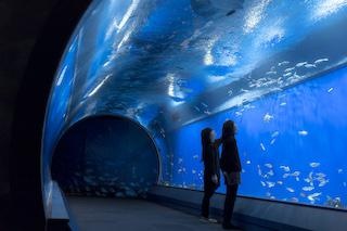 海遊館の楽しみ方をガイド！ 営業時間やアクセス、料金、チケット情報も網羅【コロナ対策情報付き】