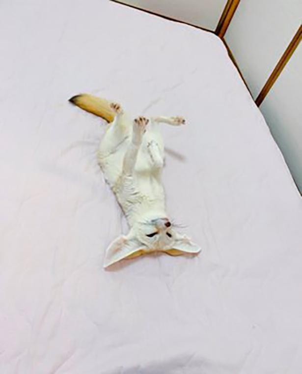 自分の世界に入って帰って来なくなるマロンちゃん