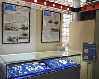 震災の影響と復興について学べる企画展が宮城県仙台市科学館で開催中