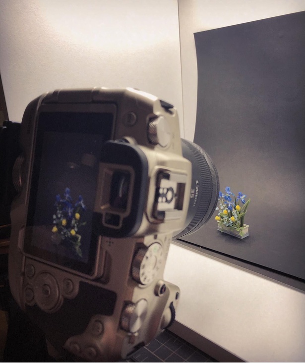 写真撮影へのこだわりを感じる投稿