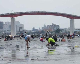 夏の砂浜で潮干狩り！千葉県木更津市で「木更津海岸の潮干狩り」実施中