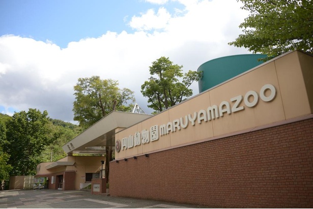 コロナ対策情報付き 札幌市円山動物園はオールシーズンでおすすめ グルメやお土産情報も紹介 ウォーカープラス