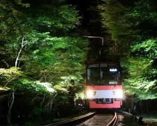 京都の叡山電鉄で「七夕伝車」運行！青もみじのライトアップが絶景