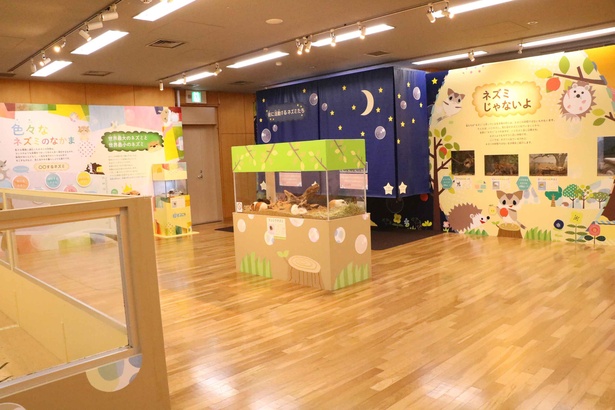 いろいろなネズミと出会えるユニークな展示だ！