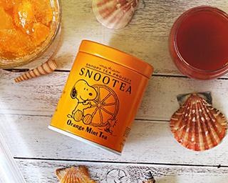 スヌーピーの紅茶「SNOOTEA」の、夏にぴったりなおすすめ2フレーバー！