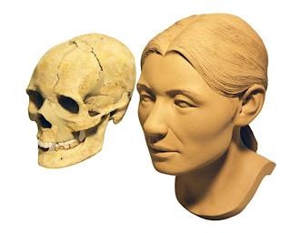 古代の生活に骨から迫る！和歌山県和歌山市で企画展「骨の考古学」が開催