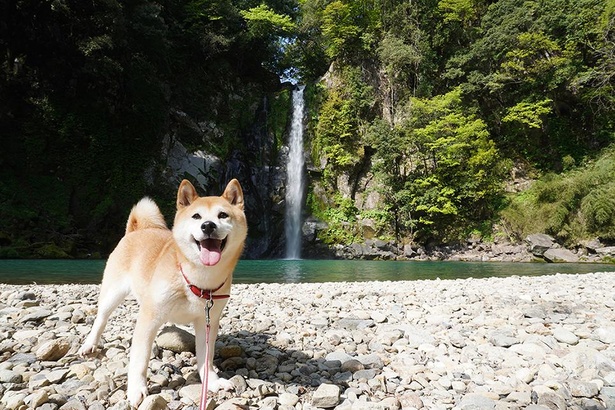 神鍋高原の八反(はったん)の滝にも行ってみた。マイナスイオンをたっぷり浴びて元気いっぱい！