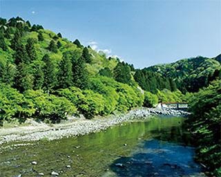 3密回避のおでかけ 東海編 ウォーカープラス