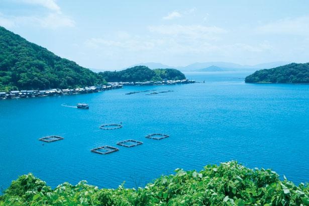 写真特集 関西の夏の絶景スポット 海 山 滝など編集部おすすめ全28景 ウォーカープラス