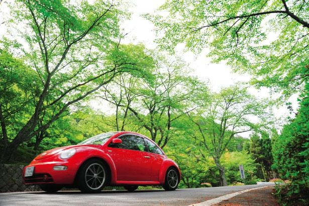山間部は木々が生い茂り、風の音も気持ちいい／京都・嵐山-高雄パークウェイ