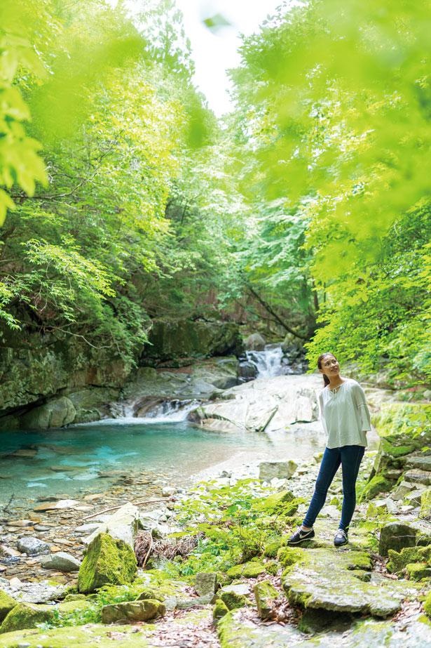 画像10 28 写真特集 関西の夏の絶景スポット 海 山 滝など編集部おすすめ全28景 ウォーカープラス