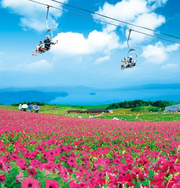 画像 28 写真特集 関西の夏の絶景スポット 海 山 滝など編集部おすすめ全28景 ウォーカープラス