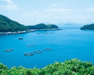 【写真特集】関西の夏の絶景スポット！海・山・滝など編集部おすすめ全28景