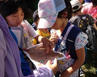 小学生限定の夏の冒険！千葉県南房総市で「第44回サマーキャンプ：謎解き冒険キャンプ」開催
