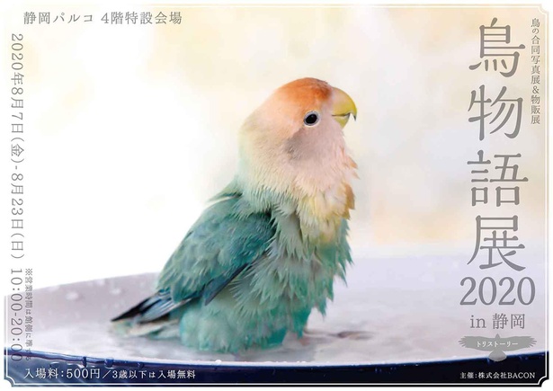 美しい鳥に出会える 静岡県静岡市で 鳥物語トリストーリー展in静岡 開催 ウォーカープラス