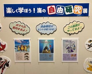 自由研究のテーマが見つかる！宮崎県宮崎市で「楽しく学ぼう！海の自由研究」開催中