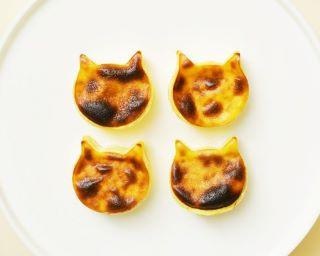 SNS映え必至！ねこねこチーズケーキに夏の新星 「にゃんチー」＆「ふぃにゃんシェ」登場