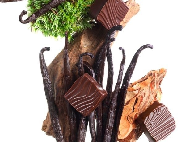 “ラスト”を表現した「ヴォリュプチュー」はバニラの香りとパチョリのウッディ―なノートが香るダークガナッシュ