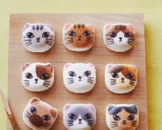 渋谷・ShinQsにキュートな猫アイテムが続々登場！