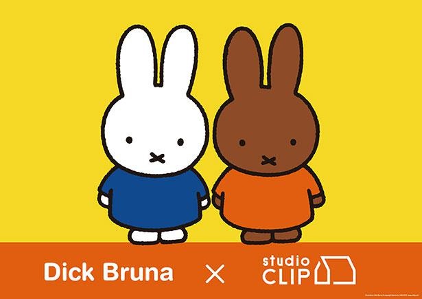 新作も注目商品続々！「Dick Bruna×studio CLIP」コラボがスタート