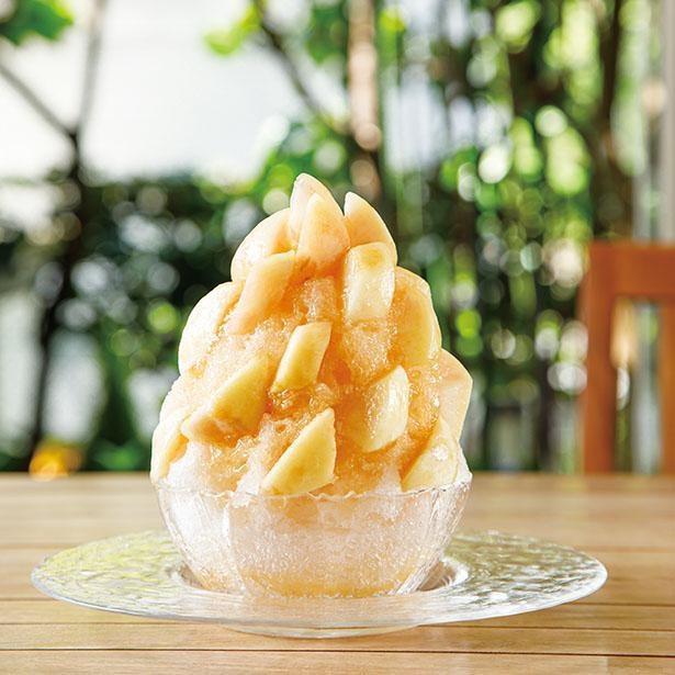 トレンド3つ目“極み氷”の「まるごと桃氷」(税込 3600円)。2人で食べても満足のボリューム / CAFE SabuHiro