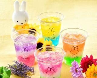 ミッフィーのドリンクスタンドが関東初出店！まるでお花みたいなカラフルドリンクを楽しもう