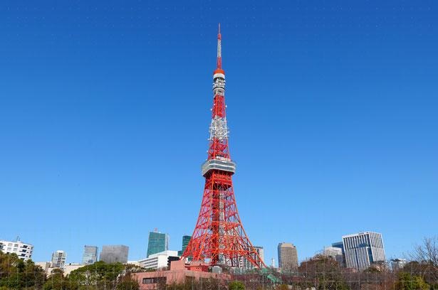 東京タワーの楽しみ方 高さや営業時間 料金 ライトアップ情報 お土産 最寄り駅からのアクセスも コロナ対策情報付き ウォーカープラス