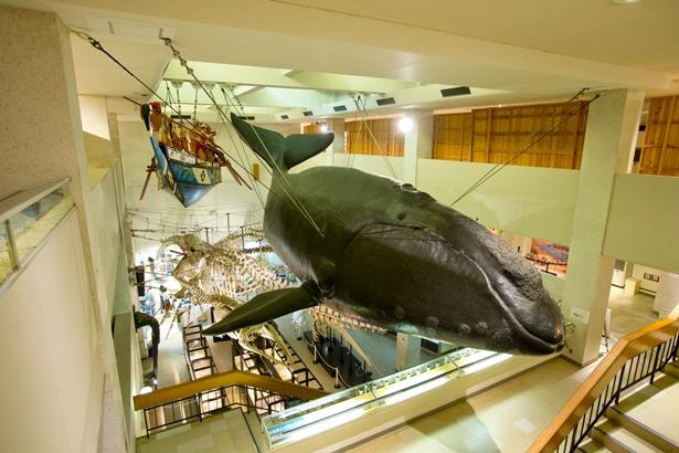 古式捕鯨の大きなオブジェは迫力満点/太地町立くじらの博物館