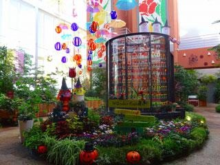 秋を彩る美しい花を展示、富山県砺波市で「季節を彩る花々～秋～」が開催