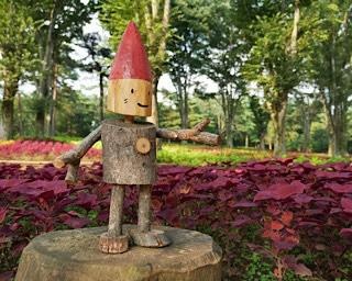 6年ぶりに咲き誇る！埼玉県比企郡の国営武蔵丘陵森林公園でコリウスが見頃