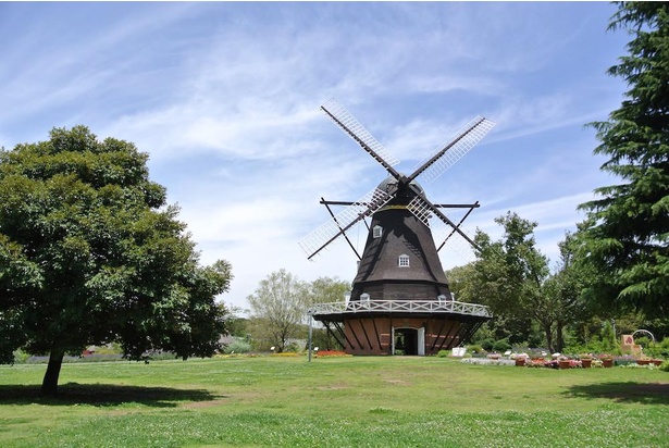 フュン野外博物館に現存する風車を手本に、デンマークの職人によって組み立てられた粉ひき風車