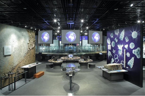 「地球の科学」ゾーンでは堆積物や化石などを展示(※現在、触れる展示の利用を制限)