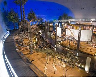 【コロナ対策情報付き】福井県立恐竜博物館の楽しみ方ガイド！大迫力の展示に体験型施設も充実！