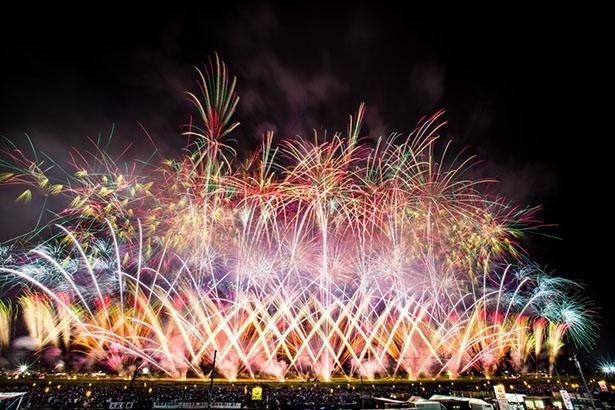 今年はおうちで花火鑑賞！腕利きの花火師たちが技を競い合う「全国花火