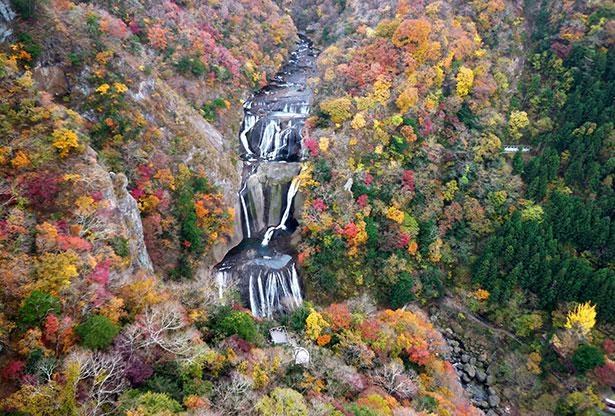 色とりどりの紅葉と滝のコントラストが映える秋