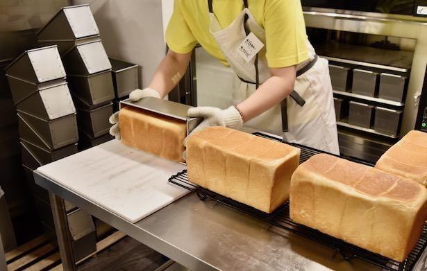 アツアツの食パンが出来上がる様子を間近で見学