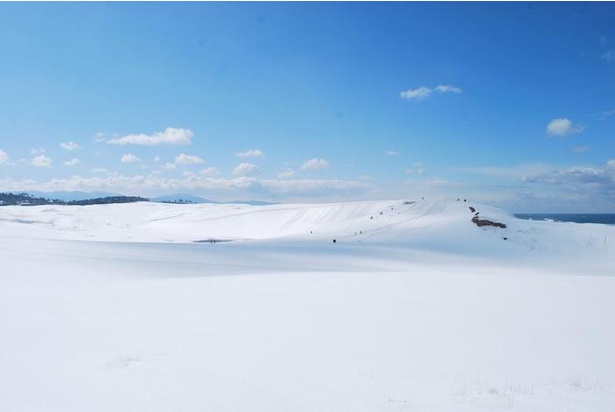 冬に見られる砂丘に積もった一面の雪景色
