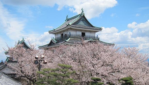 【写真】約600本の桜が咲き誇り、桜まつりも開催される