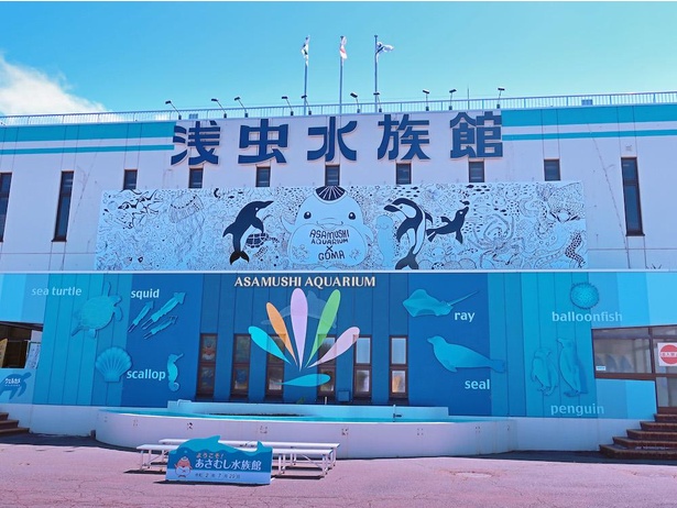 浅虫水族館正面には2020年7月28日から、青森県を拠点に活動するアーティスト・GOMAが制作した高さ3メートル×長さ17メートルのコラボアート横断幕が飾られている