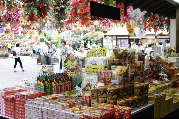 島根県観光キャラクター「しまねっこ」、島根のSUPER大使「吉田くん」のお菓子やグッズが種類豊富にそろう