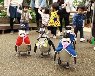 松江フォーゲルパークの楽しみ方完全ガイド！約90種以上の鳥＆花の楽園に癒やされよう【コロナ対策情報付き】