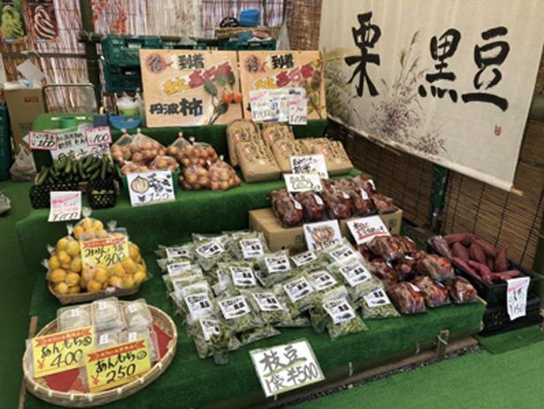 丹波や亀岡の特産品、新鮮野菜の直売などが行われる「丹波味わい市」/夢コスモス園