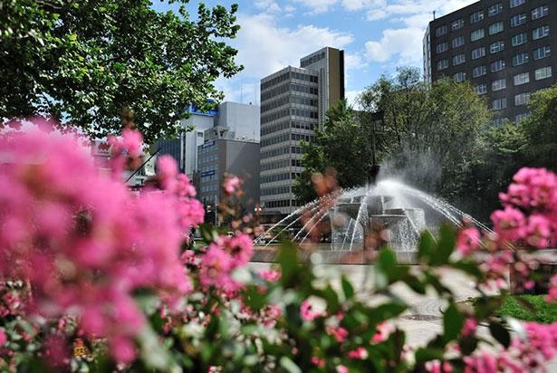 園内には約90種4700本の花々や樹木を植栽。季節に合わせ色とりどりの花が咲き誇る